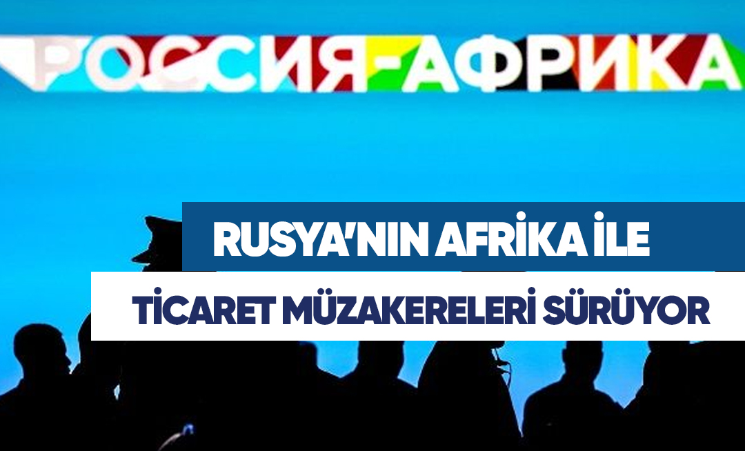 STA Gümrük Müşavirliği